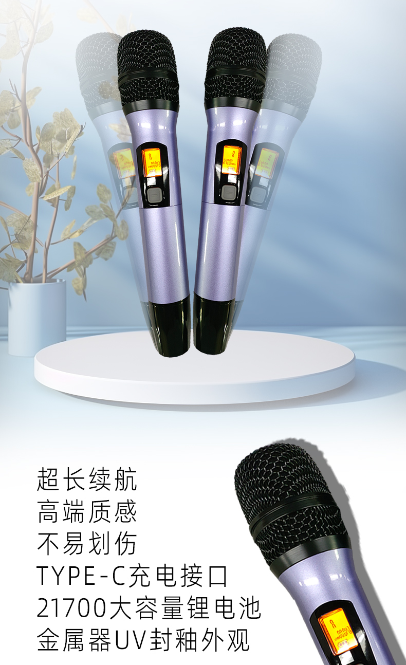 臻愛經(jīng)典套餐5.1客廳影K影院
